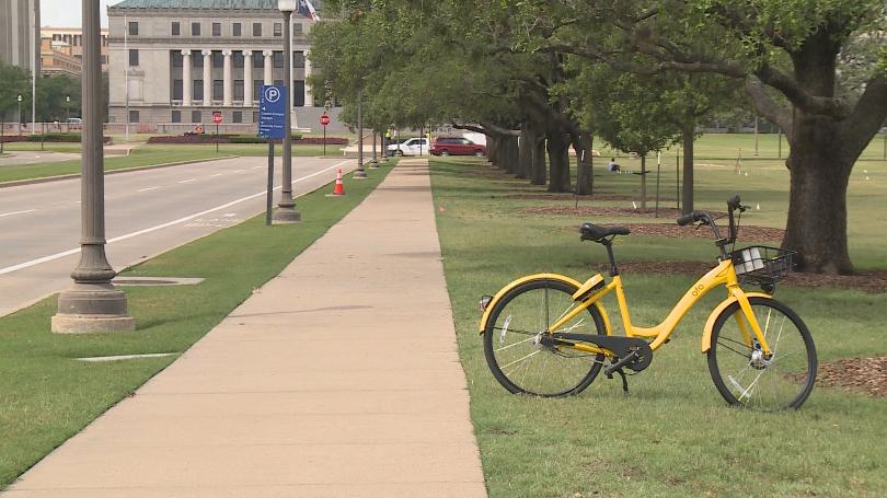 ofo bike parked on campus