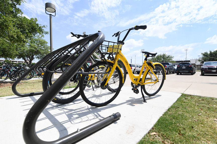 ofo bike outside Blue Bell Park