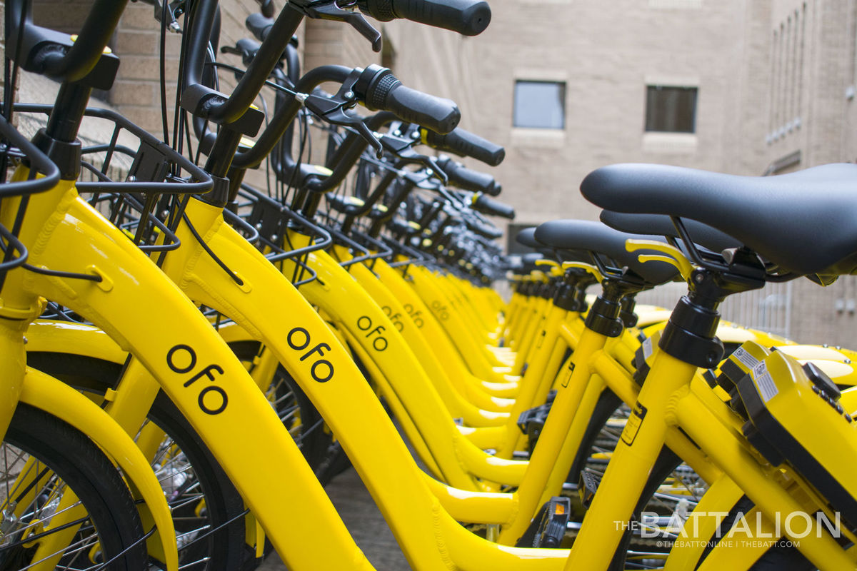 ofo bikes parked on campus